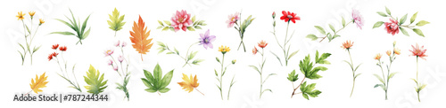 Flower set watercolor style. Collection green leaves and flower, vector illustration © Bamby