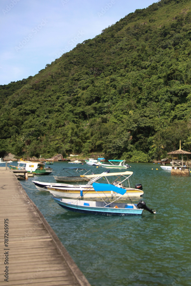 boats stopped at a pier with a beautiful tropical sea and a mountain in the background
