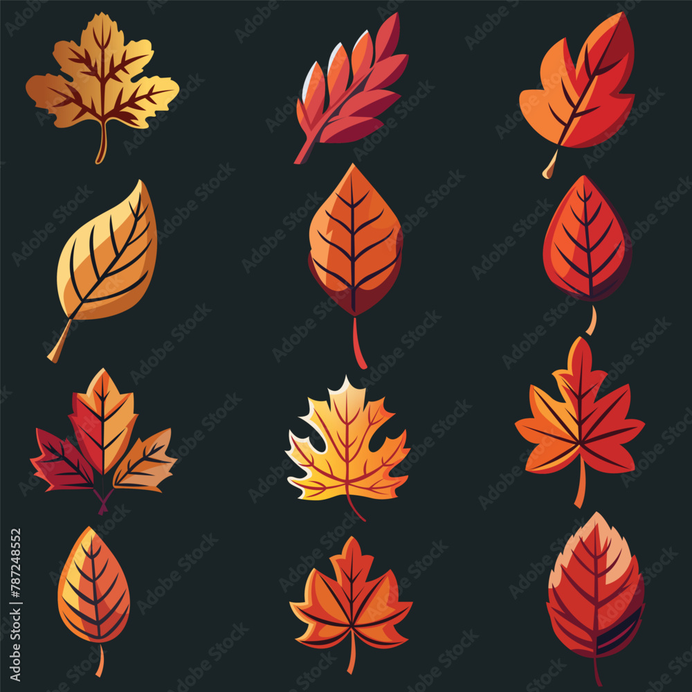 a set of different Autumn leaves collection on a Black background a set of different Autumn leaves collection on a Black background