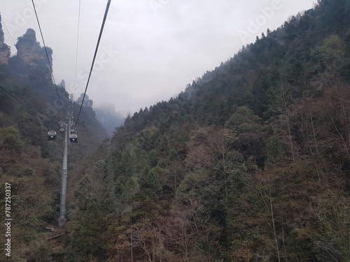 landscape with trees in jangjiaji trip
