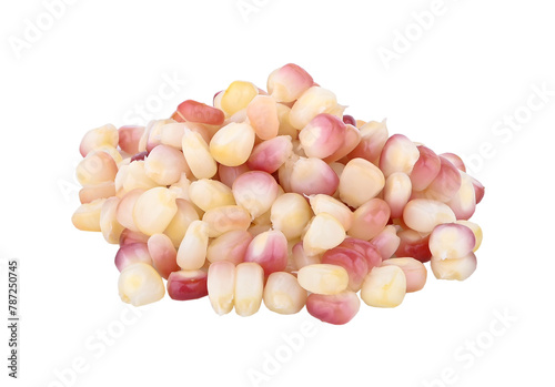 Waxy corn isolated on transparent png