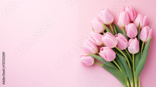 A Bouquet of Delicate Pink Tulips on a Soft Pastel Pink Background