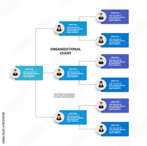 Corporate organizational chart with business avatar icons. Business hierarchy infographic elements. Vector illustration 