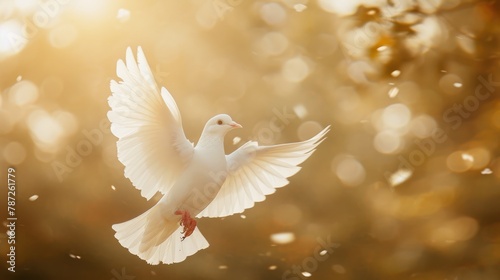 Peaceful Wings: White Dove on Heavenly Scene