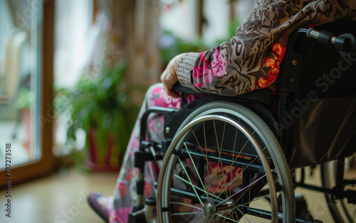 A woman in a wheelchair is sitting in a room with a plant