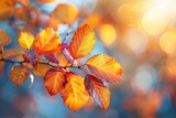 Closeup of a branch with golden and crimson autumn leaves against a blurred background, warm sunlight filtering through