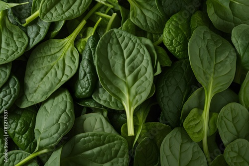Studio spotlight spinach, a healthy ingredient for flavorful dishes
