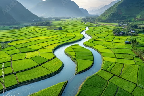Aerial view of vibrant green farmland along river   digital illustration with matte painting © Andrei