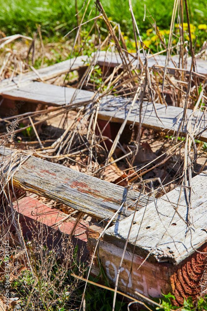 Weathered Wood Pallet Overgrown with Grass - Ground Level View Weathered Wood Pallet Overgrown with Grass - Ground Level View