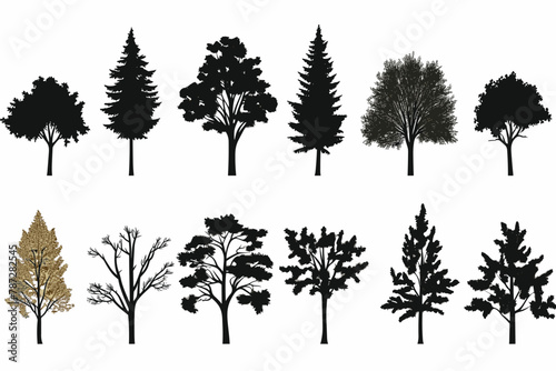 Silhouette tree set. Side view  set of graphic trees elements outline symbol for architecture and landscape design drawing. Vector illustration