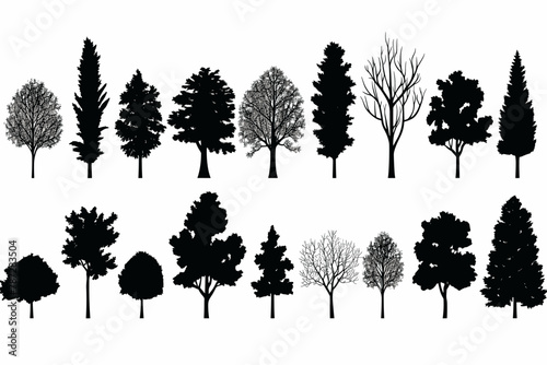 Silhouette tree set. Side view, set of graphic trees elements outline symbol for architecture and landscape design drawing. Vector illustration photo