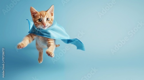 superhero cat, Cute orange tabby kitty with a blue cloak and mask jumping and flying on light blue background with copy space. The concept of a superhero, super cat, leader, funny animal studio shot © Rao