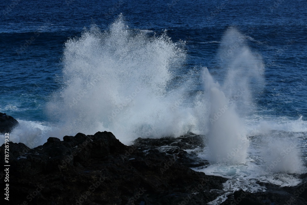 Fototapeta premium grosse vague