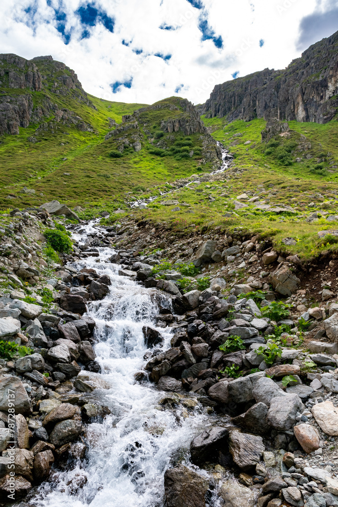 Rushing Waters: A Mountain Stream in the Alpine Wilderness (Montafon, Austria) Rushing Waters: A Mountain Stream in the Alpine Wilderness (Montafon, Austria)