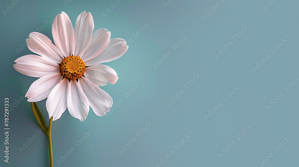 Flower minimal background the beauty that can be further developed is a variety of graphic design