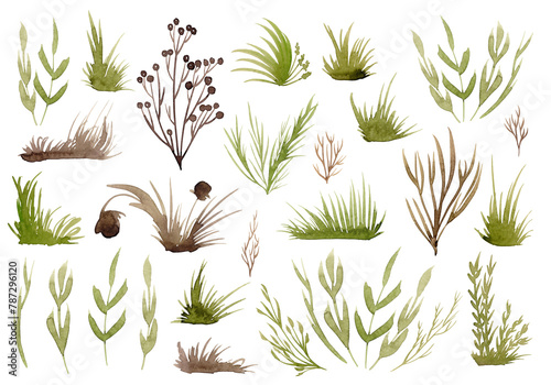 A large set of blades of grass, hummocks, bushes, berries and flowers. Sketch elements. Light green and brown watercolor silhouettes. Spring update. Floral decor. Floral background. Hand drawing
