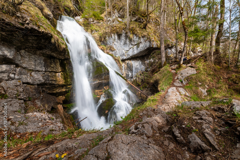 Obraz premium Majestic Waterfall Cascading Through the Forest in Berchtesgaden, Bavaria (Schrainbachfall)