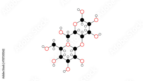 cellulose molecule, structural chemical formula, ball-and-stick model, isolated image polysaccharide e460 photo