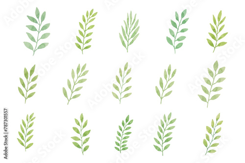 Watercolor leaves illustration set - green leaf branches collection for wedding  greetings  stationary  wallpapers  fashion  background. olive  green leaves  Eucalyptus etc