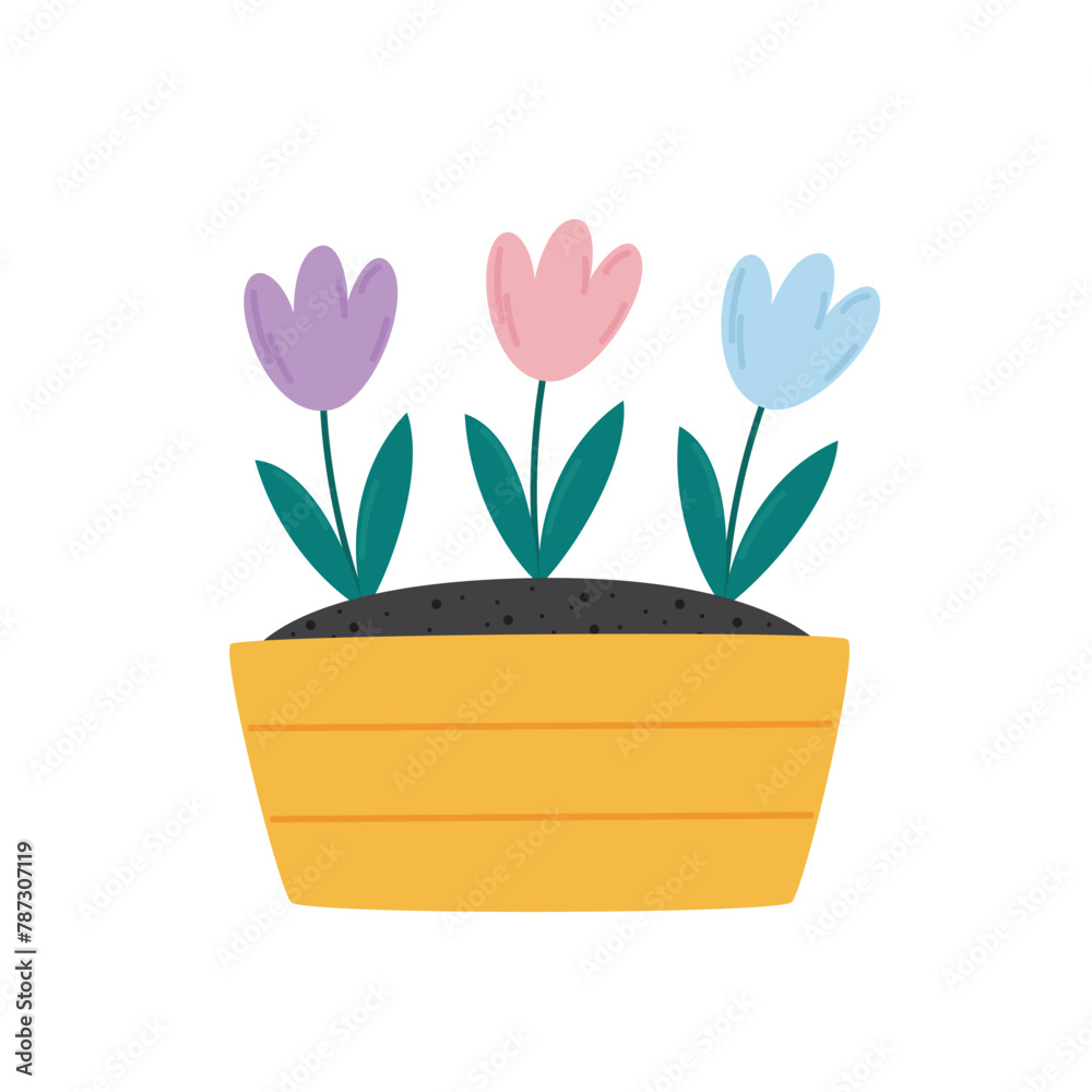 Flowers planted in a wooden box isolated on white background. Flat vector illustration