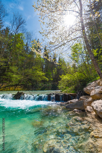 Crystal Clear Waters of the Ramsauer Ache Flowing Through a Serene Forest