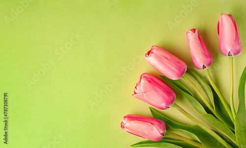 Spring time concept. Top view photo of fresh pink tulip flowers on light green background with copy space