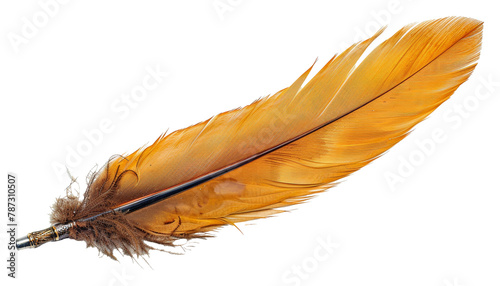 Traditional orange feather quill isolated on transparent background