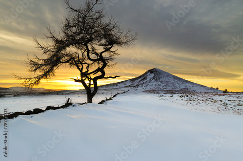 Roseberry Topping, Teesside in Winter photo