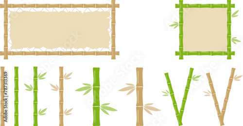 Bamboo, a set of bamboo branches and bamboo paintings. Vector, cartoon illustration.
