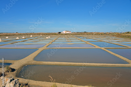 Obraz na płótnie Salzgärten auf der Ile de Noirmoutier w salonie