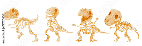 Tyrannosaurus Rex dinosaur skeleton . Watercolor paint cartoon characters . Set 3 of 4 . Vector . © stockdevil