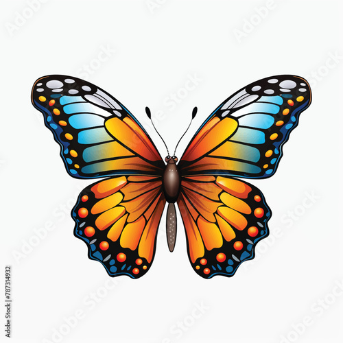 White background butterfly pink butterfly wallpaper aesthetic blue butterfly wallpaper blue butterfly wallpaper aesthetic troides helena morpho cypris maroon butterfly ifoundbutterflies photo
