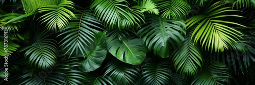 Exotic tropical forest with lush palm leaves and trees in wild jungle for panoramic wallpaper