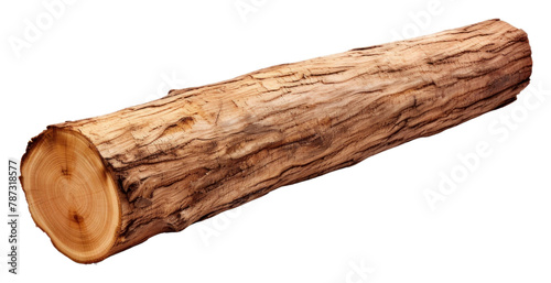 PNG Wood png plant tree log.
