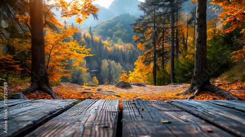 Wooden table in the forest at sunrise. Beautiful summer landscape.