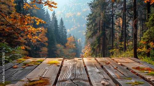 Wooden boardwalk in the autumn forest. Beautiful nature background.