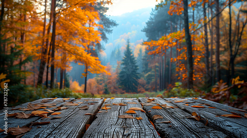 Autumn landscape with colorful forest and wooden planks. Nature background