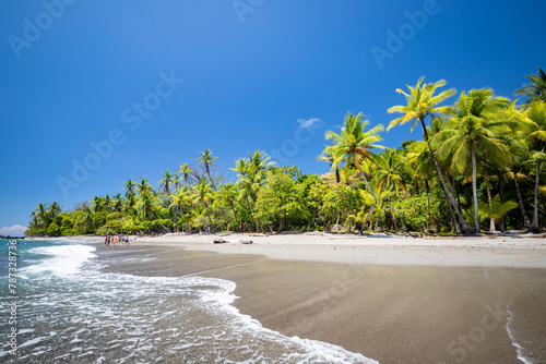 tropical coast, blue sky with clouds, clear ocean water, beautiful palm trees and forest, a place for a dream vacation and relaxation © Rochu_2008