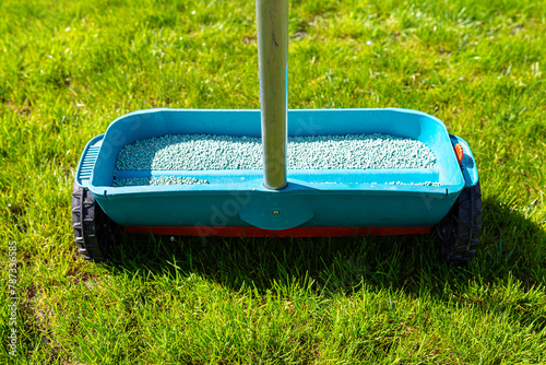 Fertilizing a young lawn with grass fertilizer in granules using a manual grass seeder. photo