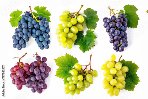 Set of grapes of different varieties and colors, isolated on a white background. . photo on white isolated background