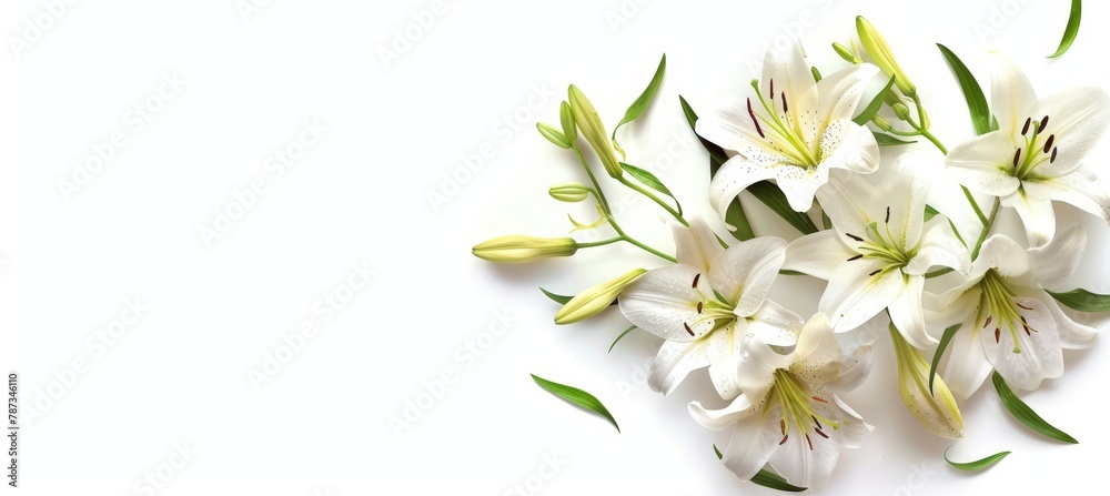 Obraz premium Funeral lily on white background with ample space provided for optimal text placement