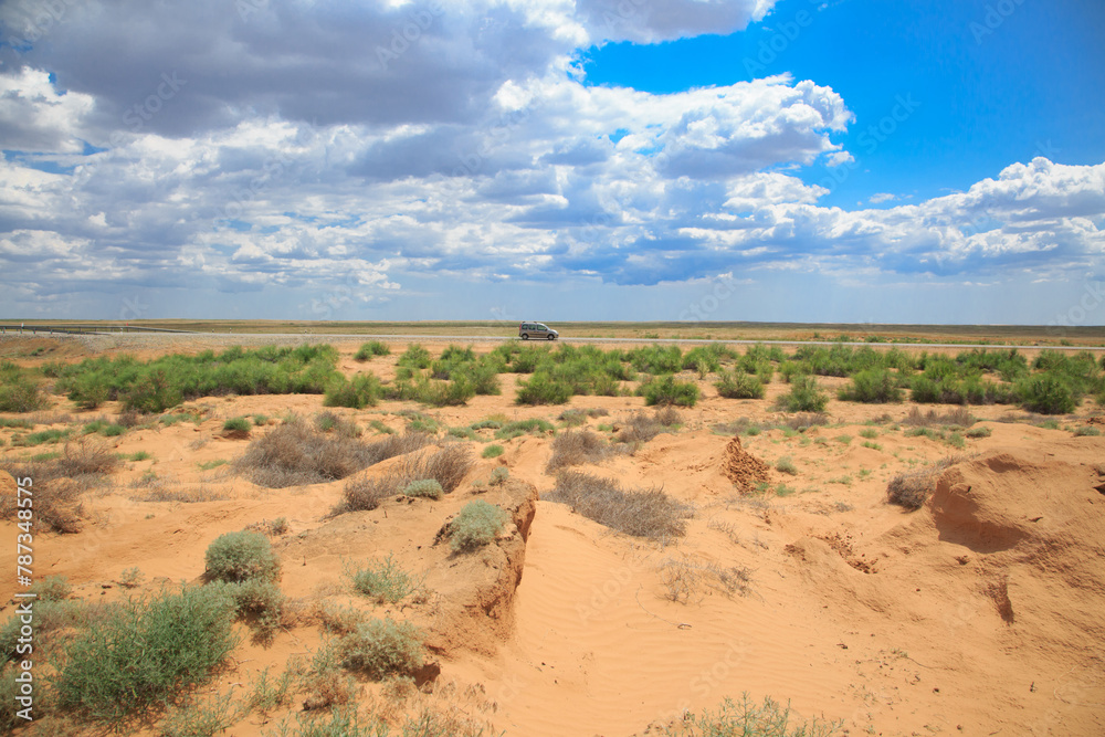 Landscape of a sandy desert on a sunny day.