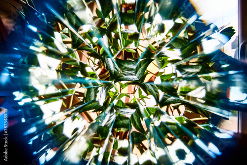 Kaleidoscopic Plant Abstract with Light Refraction