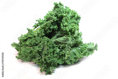 Healthy organic food fresh vegetables  Fresh Organic Vegetables: Healthy Lifestyle Concept