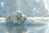 A polar bear and his cub, sitting on a piece of glacier floating in the Arctic sea