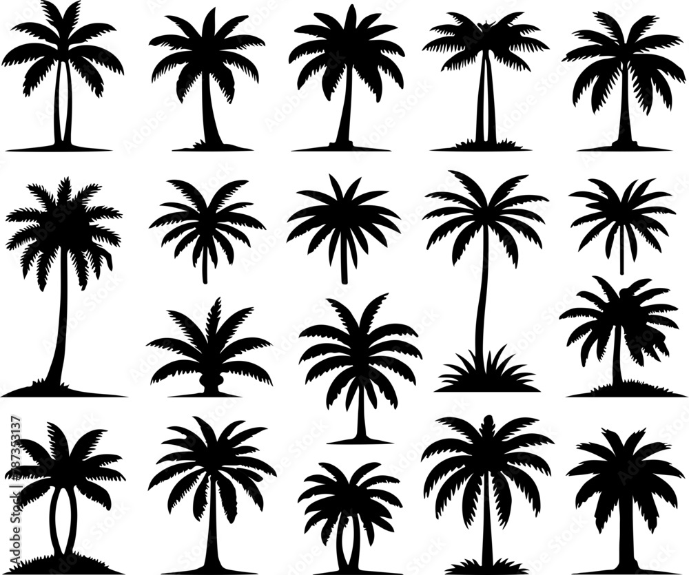 Set de palmiers tropicaux, silhouette noir sur fond transparent