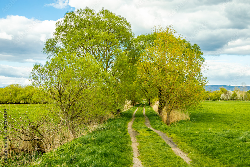Frühlingshafte Wanderung rund um die Breitungen Seen bei fantastischen Sonnenschein - Thüringen - Deutschland Frühlingshafte Wanderung rund um die Breitungen Seen bei fantastischen Sonnenschein - Thüringen - Deutschland