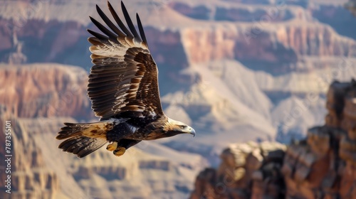 Closeup of a golden eagle soaring alongside the helicopter a majestic companion on the unforgettable journey photo