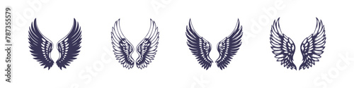 set of pairs of hawk eagle angel wings feathers hand drawn illustration