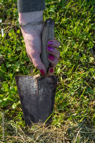 Dirty woman's hand working in the vegetable garden with a trowel. Well-groomed female hands soiled with dirt.